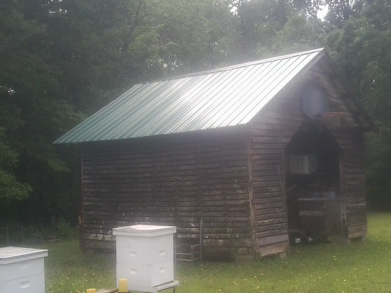 Green metal roof on a weathered barn beside stacked beehives in Blountsville